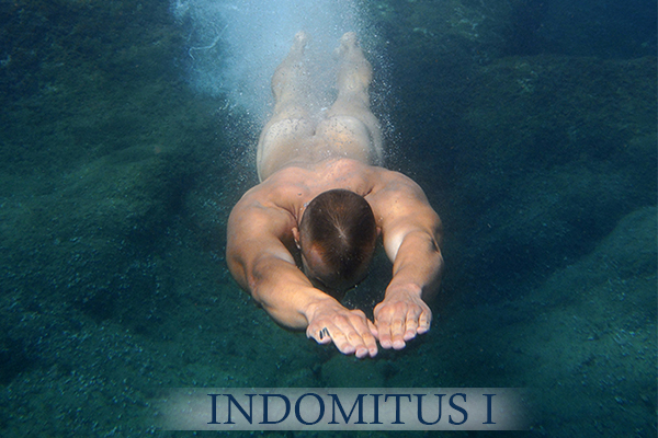 Indomitus I