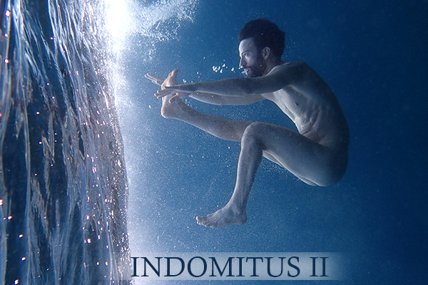 Indomitus II